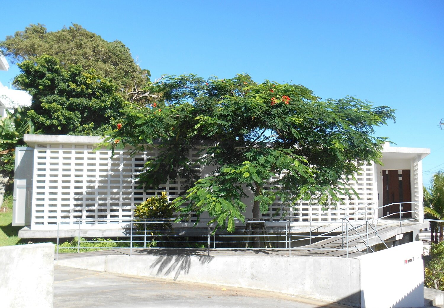 沖縄に移住して 花ブロックとホウオウボク 鳳凰木 住まいの事例 Ozone家design