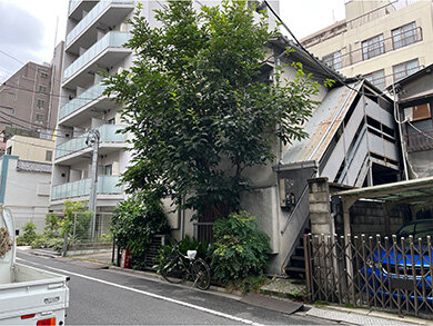 既存建物の特徴と建替えの課題2